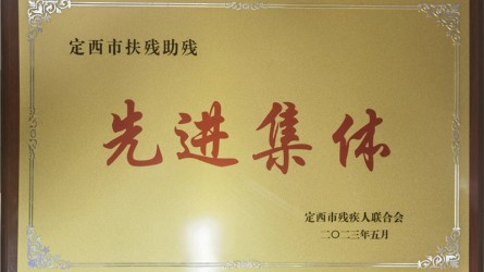 定西市扶殘助殘先進集體(tǐ)