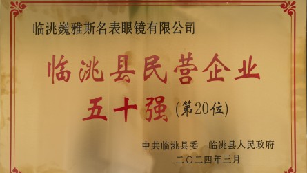 2023年度臨洮縣民營企業50強